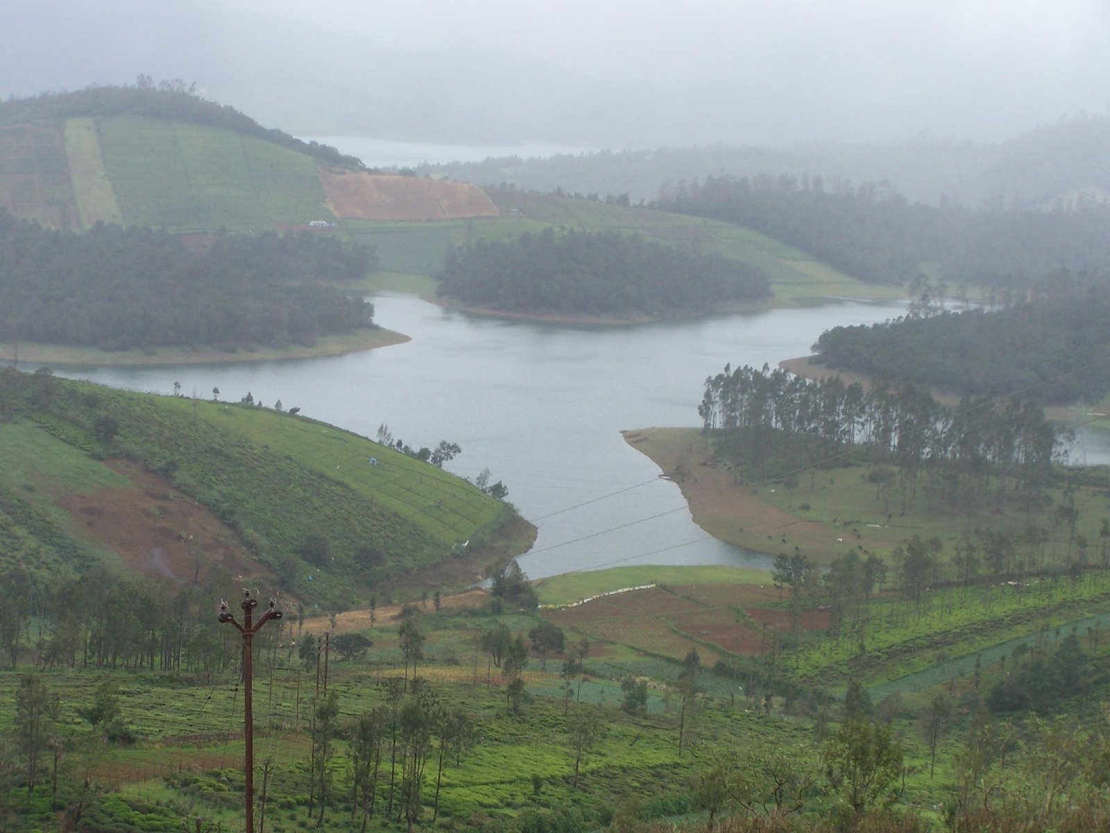 Avalanche Lake and Forest Reserve Ooty